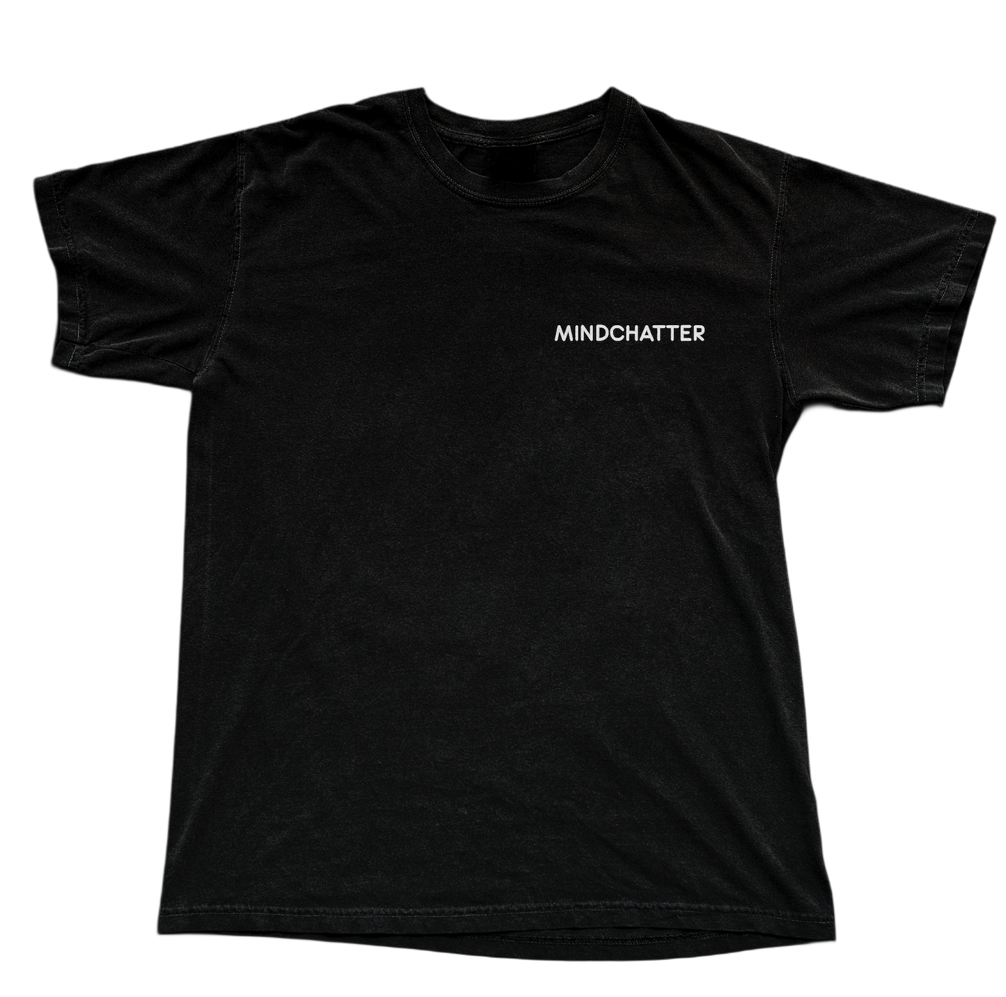 Giving Up On Words 2026 Tour Tee